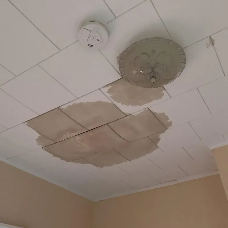 Ceiling Water Damage Repair in Massillon, OH